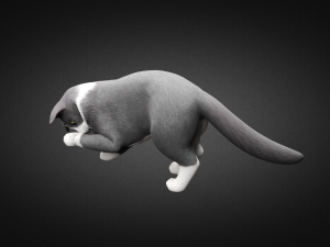 american cat Modelo 3D
