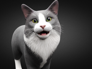 american cat Modelo 3D