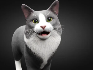 american cat 3D Model