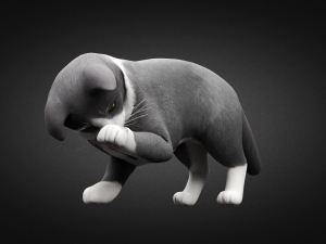 american cat Modelo 3D