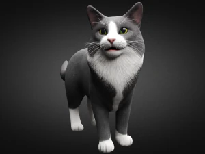 american cat 3D Model