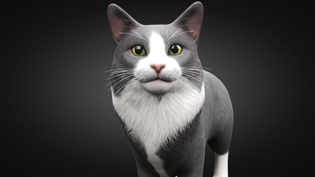 Download american cat 3D Model
