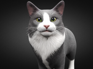 american cat Modelo 3D