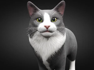 american cat 3D Model