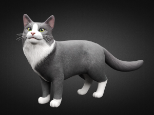 american cat Modelo 3D