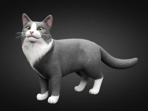 american cat 3D Model