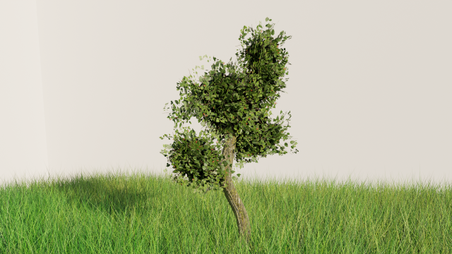 DETAILED Tree in the meadow blend obj fbx and stl 3Dモデル .c4d .max .obj .3ds .fbx .stl .blend 