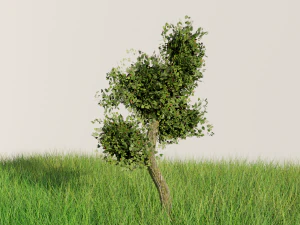 DETTAGLIATO Albero nel prato mescola obj fbx e stl Modello 3D