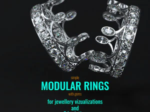modular rings 3D Print Model