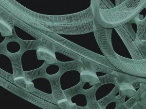 modular rings 3D Print Model