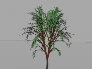 Tree 3D 3D 模型