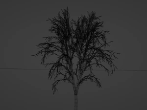 Tree 3D 3D Model