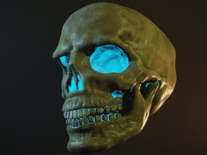 Human skull with fluorescence 3D-Modell