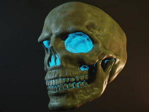 Human skull with fluorescence 3D Model
