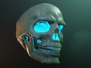 Human skull with fluorescence 3D Model