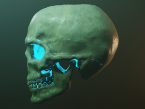 Human skull with fluorescence 3D Model