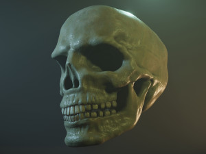 Human skull with fluorescence 3D Model