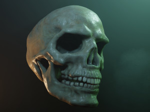 Human skull with fluorescence 3D Model