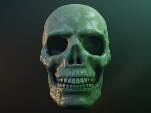 Human skull with fluorescence 3D Model