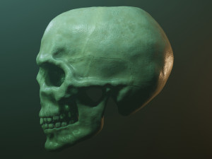 Human skull with fluorescence 3D Model