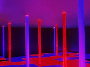 Neon scene 3D Model