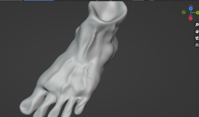 Foot Model 3D .c4d .max .obj .3ds .fbx .stl .blend 