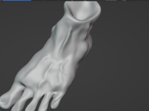Foot 3D Model