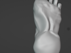 Foot Model 3D