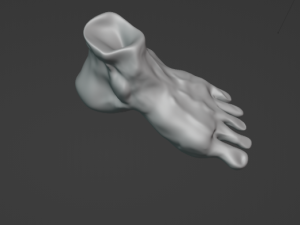 Foot Model 3D