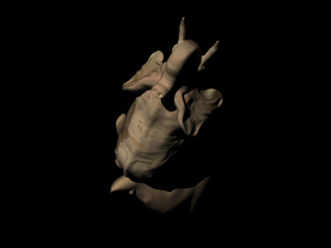 Elephant in hand 3D 模型