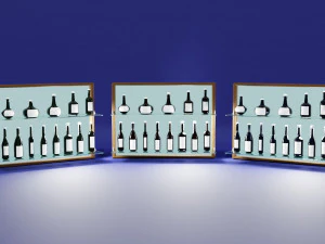 Wine Bottles Collection 3D Model