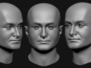 Realistic male head 3D Model