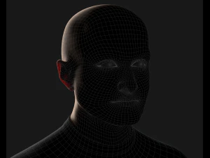 Realistic male head 3D Model