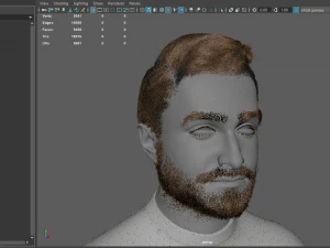 Realistic male head 3D Model