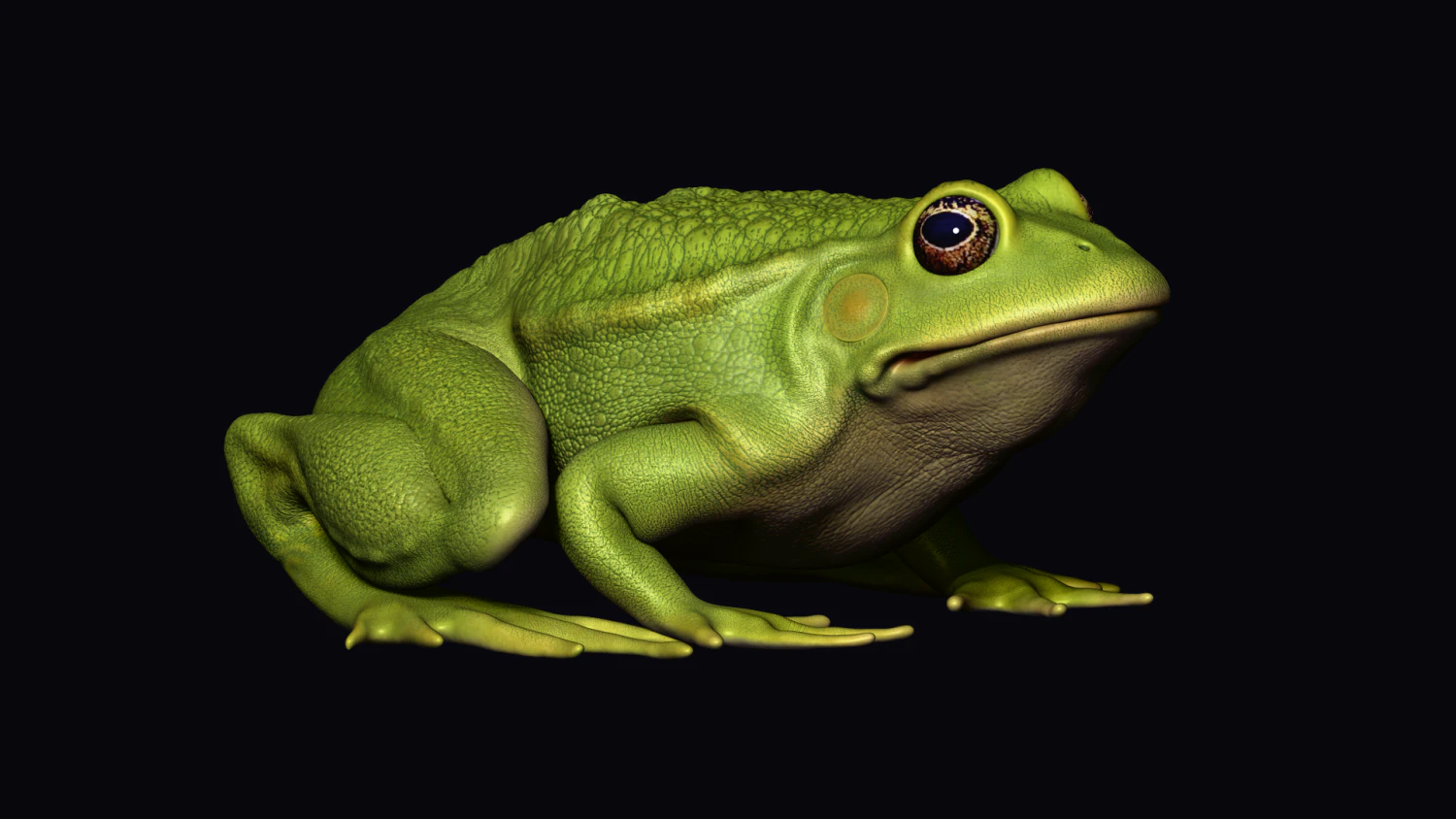 Frog model 3D Model .c4d .max .obj .3ds .fbx .stl .blend