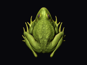 Frog model 3D 모델