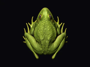Frog model 3D Model