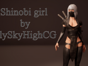 Shinobi assassin girl 3D 模型