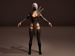 Shinobi assassin girl Modelo 3D
