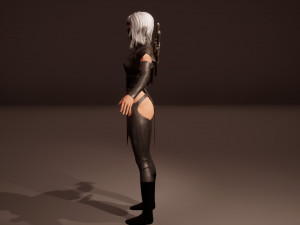 Shinobi assassin girl Modelo 3D