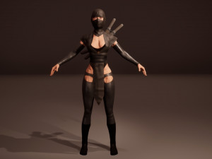 Shinobi assassin girl Modelo 3D