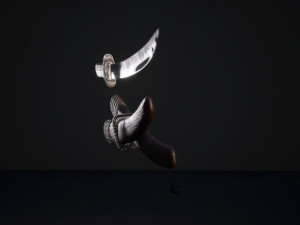 Shinobi assassin girl Modelo 3D