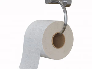 टॉयलेट पेपर 3D मॉडल