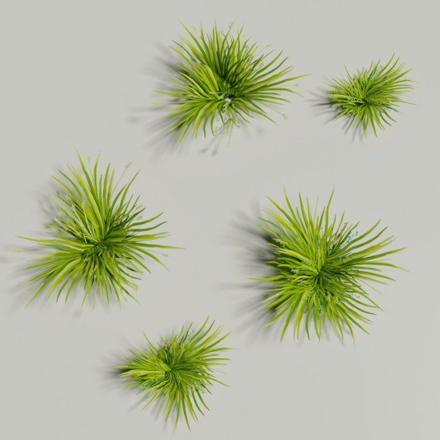 Low poly grass Hand drawn texture Set of 5 objects Modèle 3D .c4d .max .obj .3ds .fbx .stl .blend 
