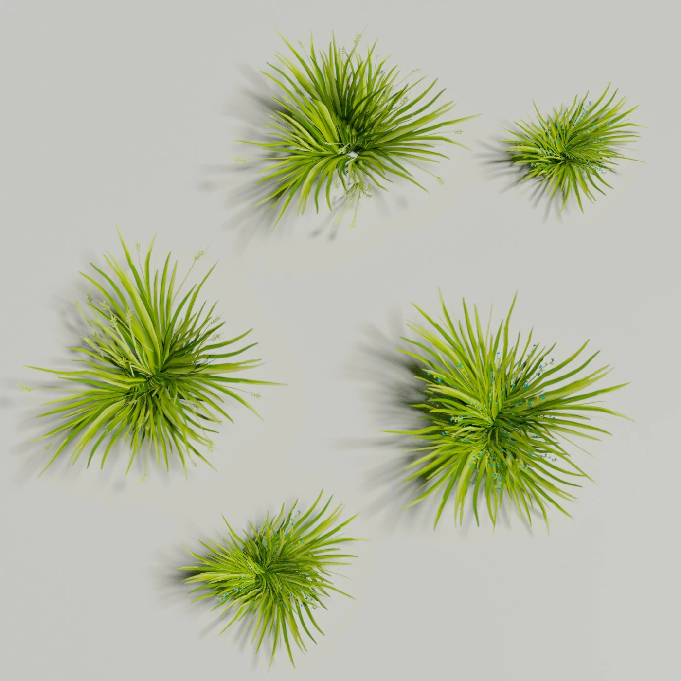 Low poly grass Hand drawn texture Set of 5 objects 3D Model .c4d .max .obj .3ds .fbx .stl .blend 