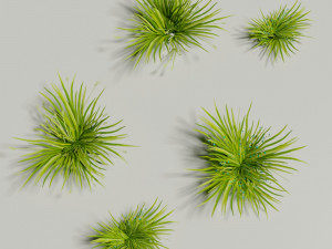 Low poly grass Hand drawn texture Set of 5 objects 3Dモデル
