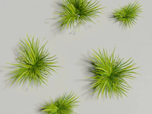 Textura desenhada &agrave; m&atilde;o de grama baixa poli Conjunto de 5 objetos Modelo 3D