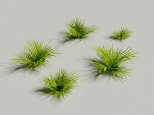 Low poly grass Hand drawn texture Set of 5 objects Modèle 3D
