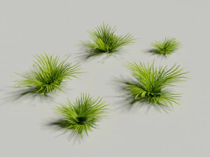 Low poly grass Hand drawn texture Set of 5 objects 3D Model