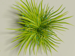 Low poly grass Hand drawn texture Set of 5 objects 3D Model